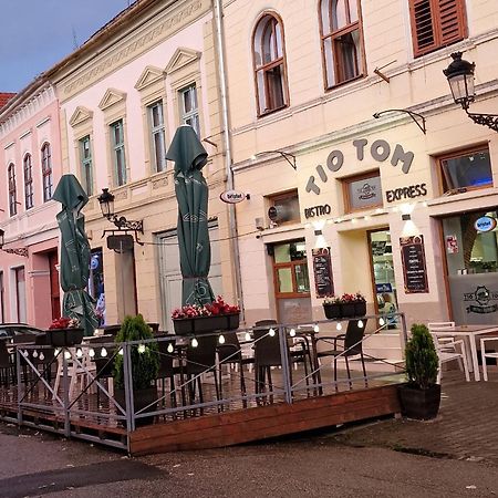 Fabini Apartments Mediaş Dış mekan fotoğraf